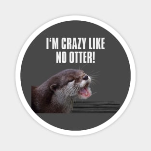 I am crazy like no otter! Magnet